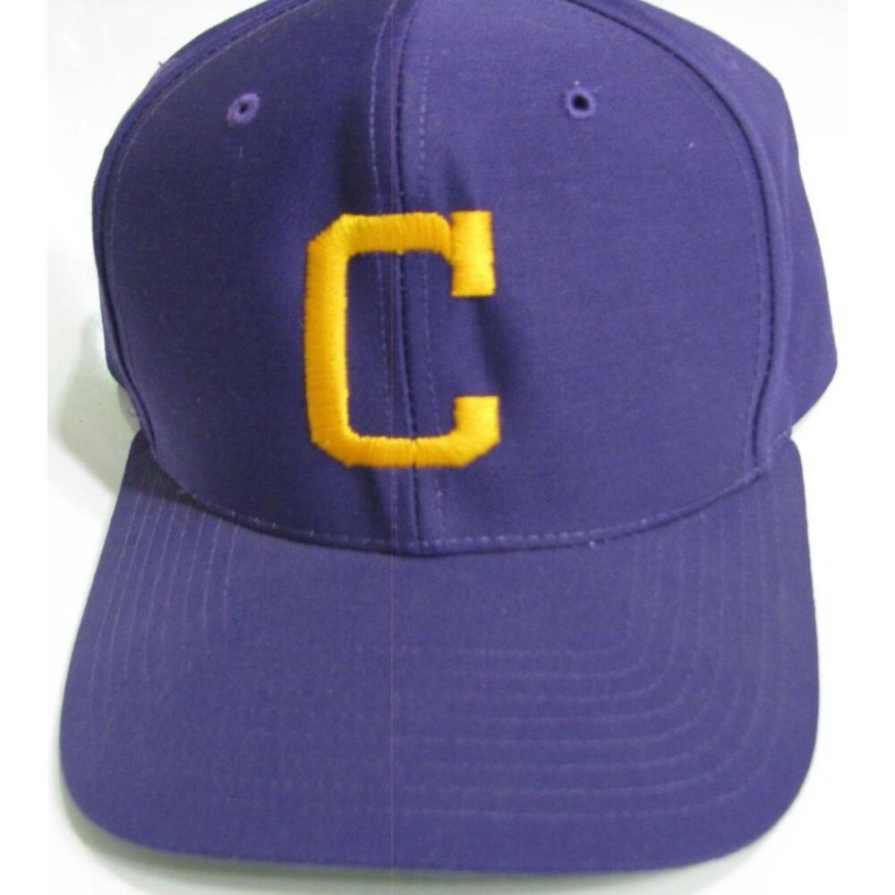 Pro Model "Players Cap" Baseball - Purple with Gold C Embordered